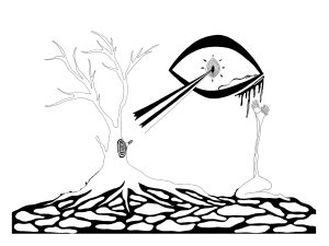 Truth pierce through enchanted forest