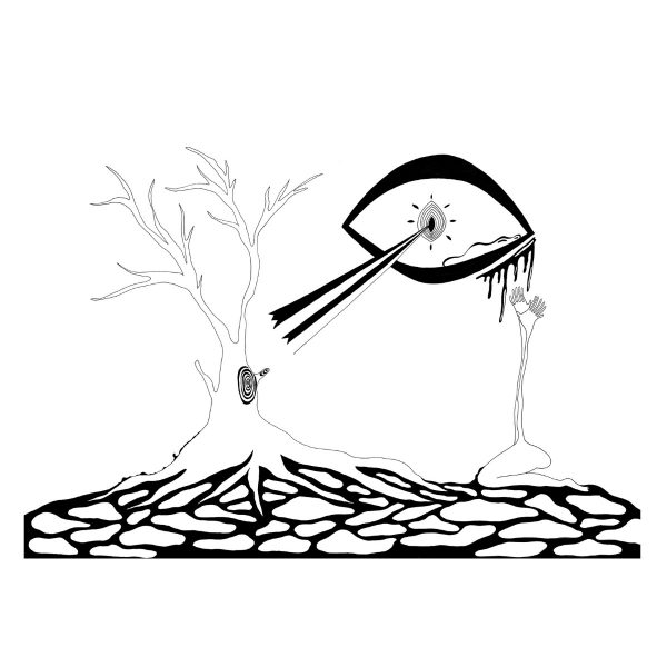 Truth pierce through enchanted forest